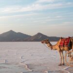 Rann Utsav 2025